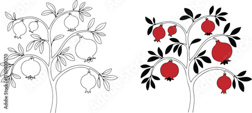 Elegant Pomegranate Tree Illustration with Color and Outline Variations
