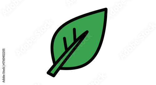 Simple green leaf illustration with prominent veins and dark outline.