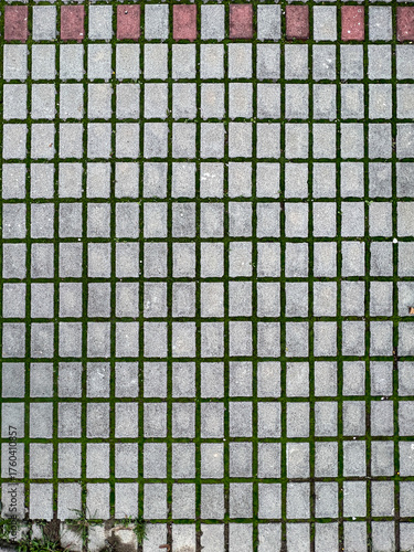 A geometric, top-down view of rectangular gray concrete pavers laid in a grid pattern, with vibrant green grass and moss growing in the joints.