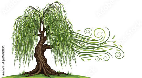 A beautiful weeping willow tree with green leaves and branches swaying in the wind.