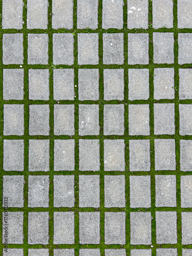 A geometric, top-down view of rectangular gray concrete pavers laid in a grid pattern, with vibrant green grass and moss growing in the joints.