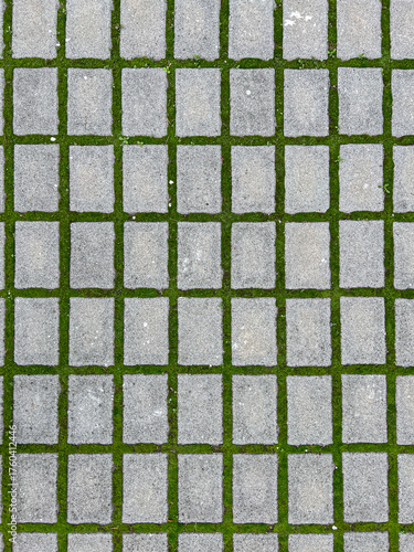 A geometric, top-down view of rectangular gray concrete pavers laid in a grid pattern, with vibrant green grass and moss growing in the joints.