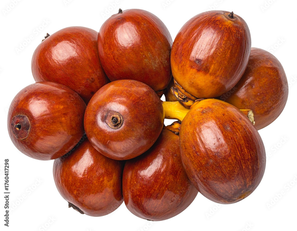 Fototapeta premium Fresh Date Palm Fruits Cluster Top View on White Background PNG