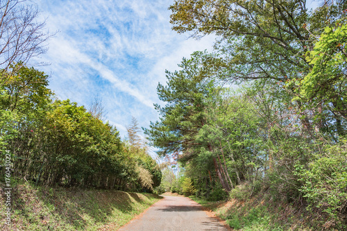 茨城　助川山市民の森のハイキングコース（日立市）