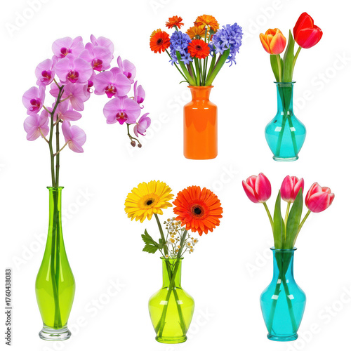 Vibrant flower arrangements in colorful glass vases showcase botanical beauty isolated on transparent background
