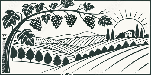 Vineyard pattern with grapes, rolling hills, and sun illustration  