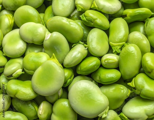 Close-up of many fresh green broad beans