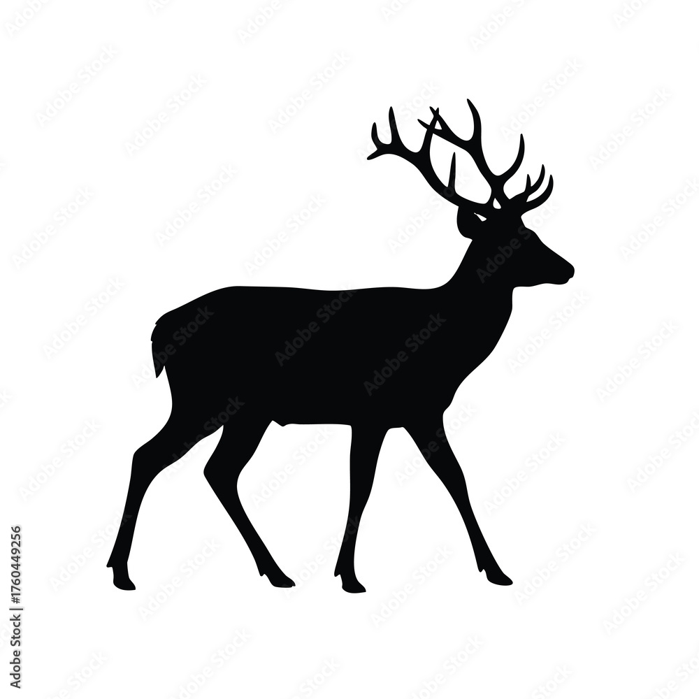 Obraz premium Silhouette of a Strolling Deer with Majestic Antlers Against a White Background