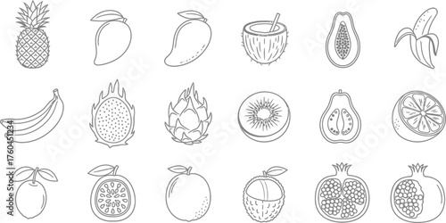 Hand-drawn tropical fruit illustration set for menu or logo design