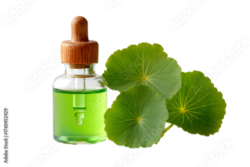 Green liquid in dropper bottle with gotu kola leaves isolated on transparent background