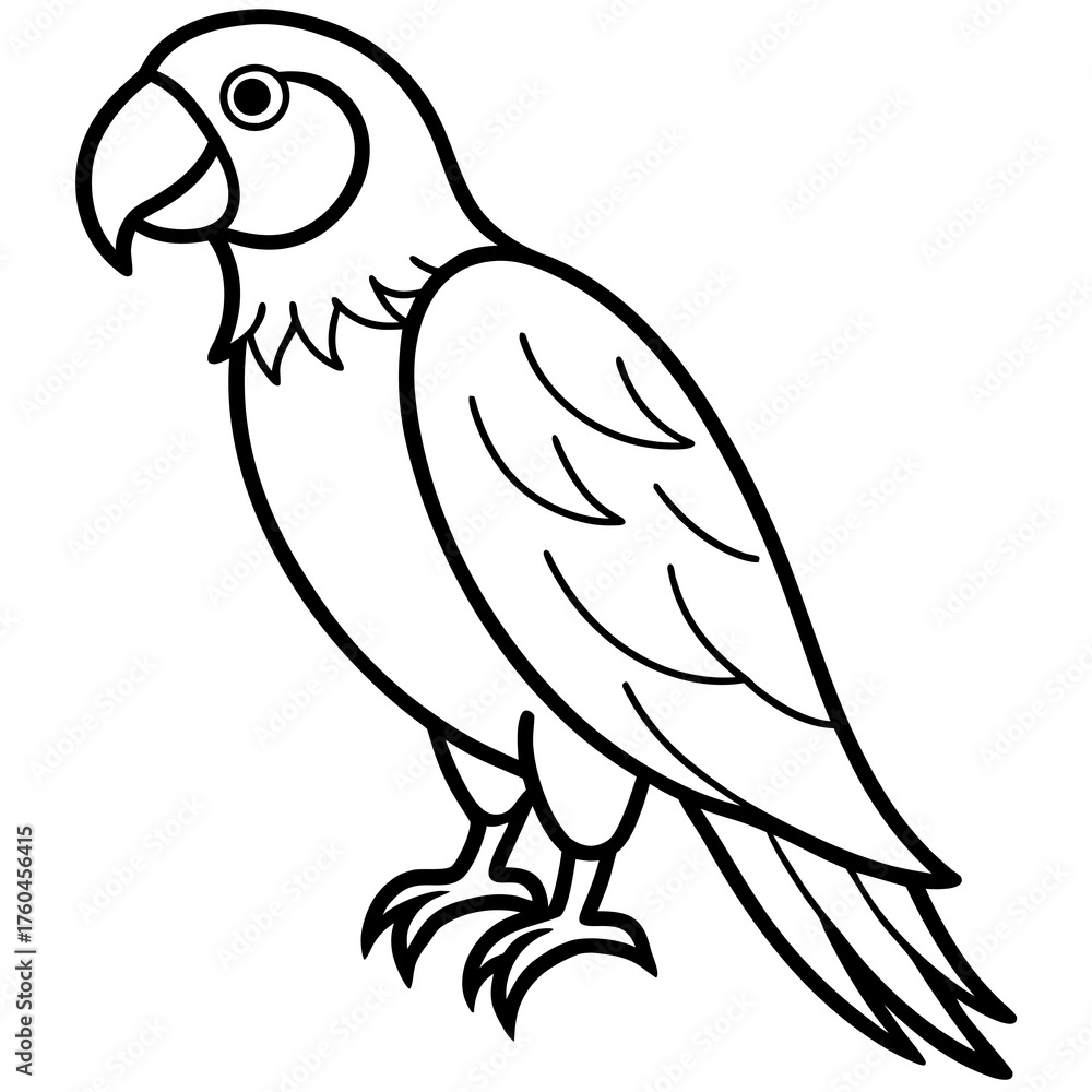 Fototapeta premium parrot on a branch