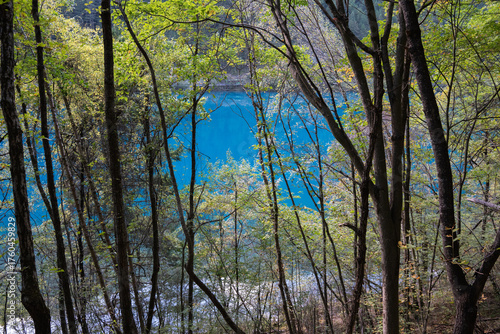 Clear lakes and forests