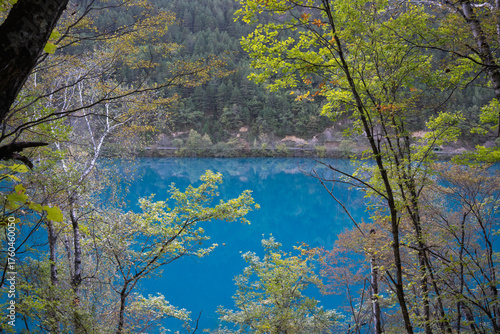 Clear lakes and forests