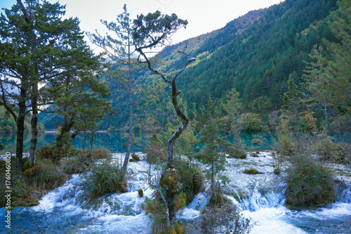 Clear flowing water in the wilderness