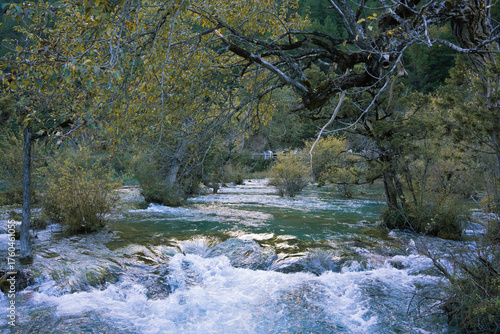 Clear flowing water in the wilderness