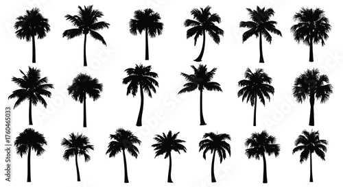 Vector art of set of tropical palm tree silhouettes collection of various palm trees in different shapes and sizes vector illustration of exotic plants