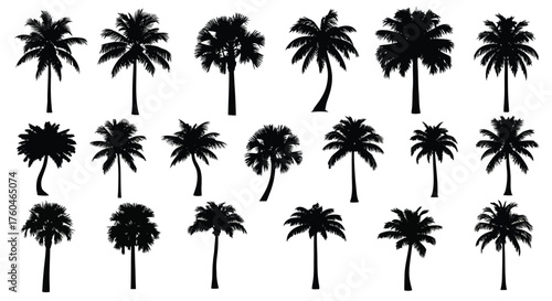 Vector art of set of tropical palm tree silhouettes collection of various palm trees in different shapes and sizes vector illustration of exotic plants