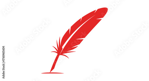 A single red feather illustration against a clean white background