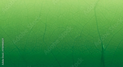 Abstract green texture with crackled pattern, creating a natural background