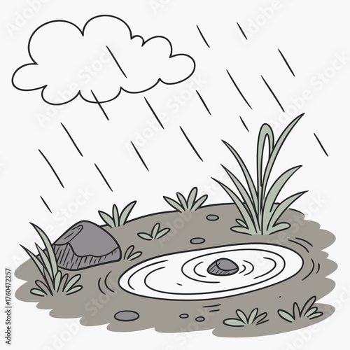 Rainy landscape with puddle, stone, grass, and overcast sky  