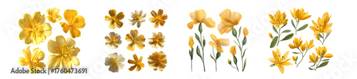 Beautiful collection of yellow daffodil floral compositions.