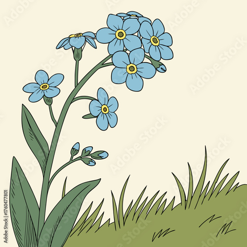 Blue forget-me-not flowers with green leaves in a grassy field  