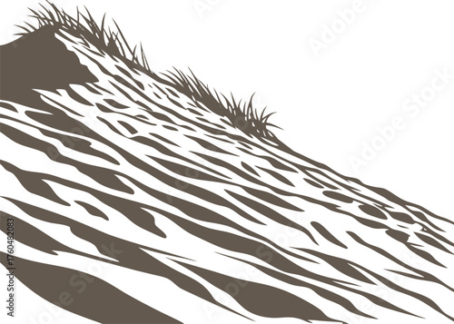Sand dune landscape with grass vector illustration nature background desert beach pattern scenic view outdoors design vector illustration