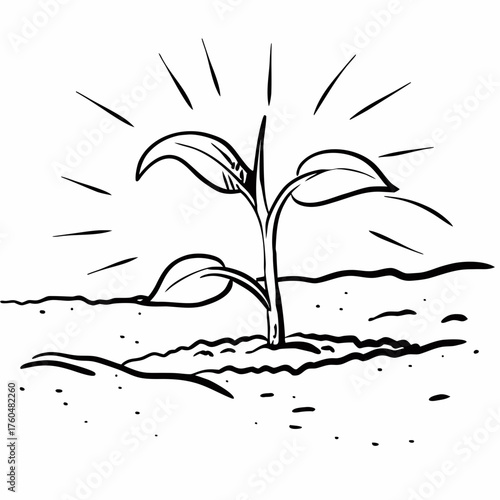 Growing plant sprouting from soil with sunlight in background  