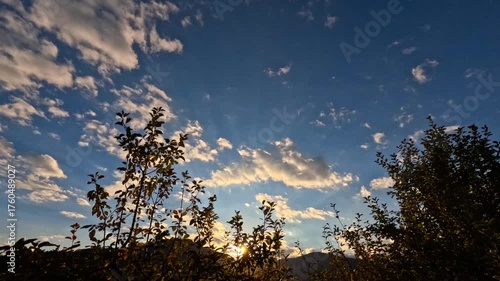 sunset in the mountains with trees