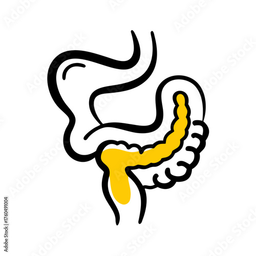 Digestive Organ Illustration for Anatomy Design