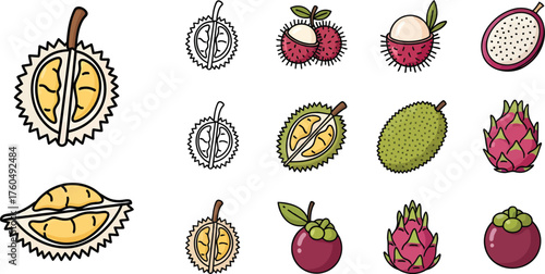Exotic Fruit Collection Fresh Tropical Fruits