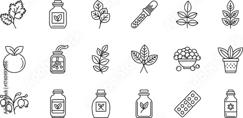 Collection of Medicinal Herbs and Supplements Illustrations