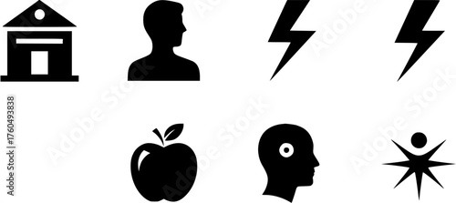 Set of assorted simple black glyph icons representing diverse concepts such as home, person, energy, fruit, mind, and success