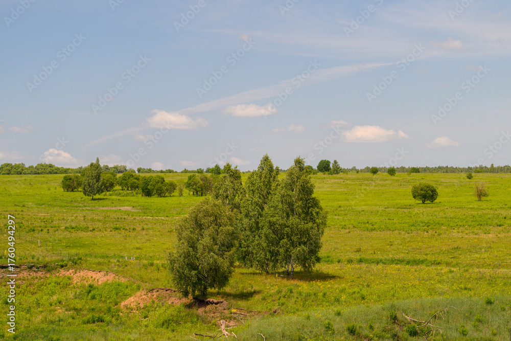Fototapeta premium A Beautiful Lush Green Landscape Featuring Sparse Trees Under a Bright Clear Blue Sky
