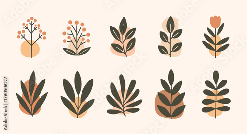 Abstract organic shapes and botanical elements in warm earthy tones.