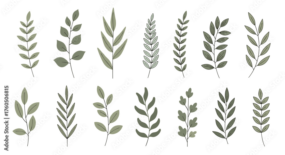 Obraz premium A collection of elegant botanical illustrations featuring various types of leaves and branches for naturalistic design elements.