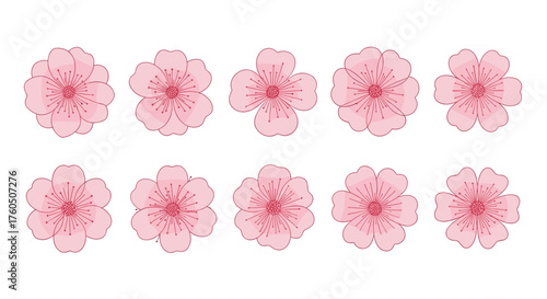 A collection of ten delicate pink cherry blossom flowers arranged in two rows on a white background.