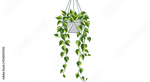 A beautiful hanging plant with lush green leaves cascades down from a modern geometric pot.