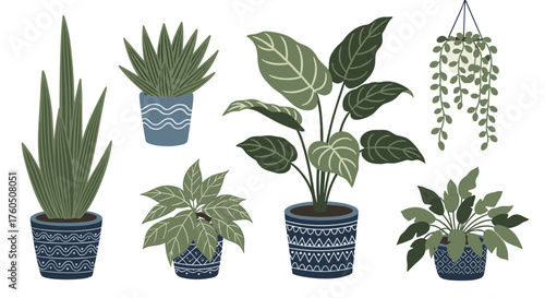 A vibrant collection of diverse potted houseplants in decorative containers creating a lively indoor garden.