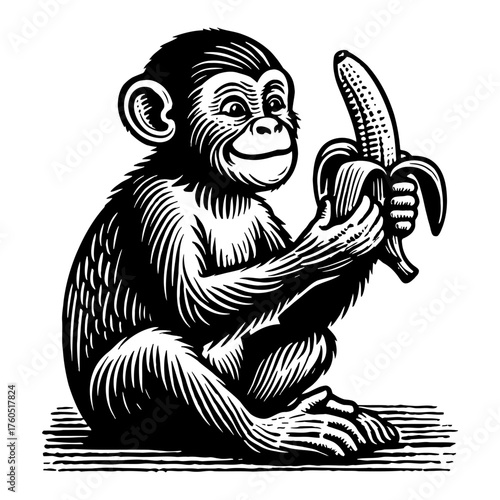 Adorable Monkey Peeling a Banana with a Cheerful Expression Black and White Outline Line Art Drawing Vintage Engraving Style Isolated Object