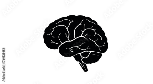 Bold black silhouette of a human brain, symbolizing thought and intellect against a stark white background.