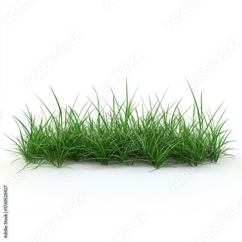 Lush green grass tuft against white background