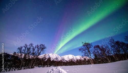 Aurora Borealis Over Snowy Mountains at Night