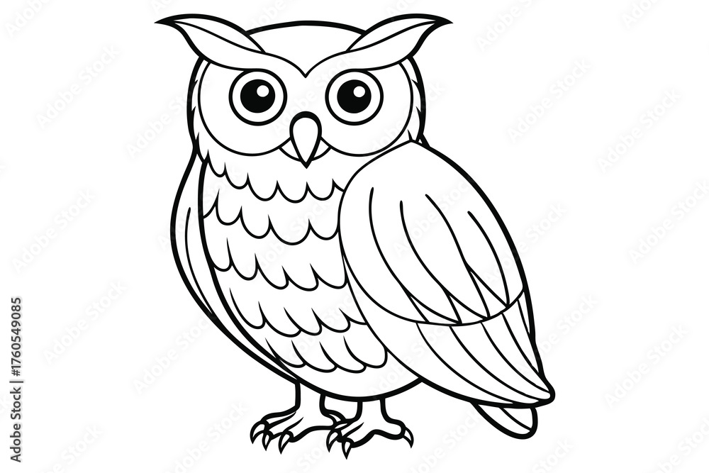 Fototapeta premium Owl Line Art Illustration for Coloring and Wildlife Education