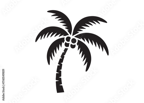 Coconut tree icon, Coconut tree solid vector