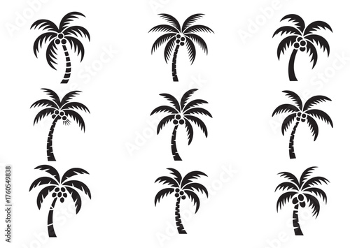 Coconut tree icon, Coconut tree solid vector
