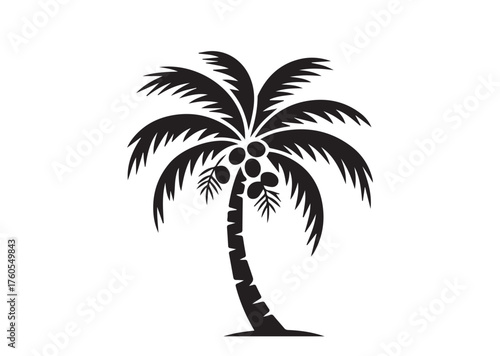 Coconut tree icon, Coconut tree solid vector