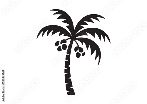 Coconut tree icon, Coconut tree solid vector