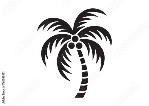 Coconut tree icon, Coconut tree solid vector