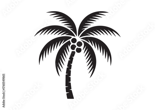 Coconut tree icon, Coconut tree solid vector